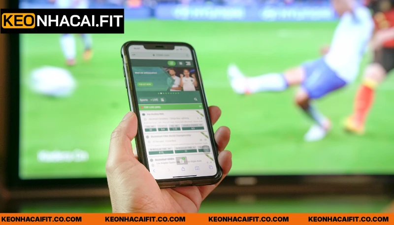 Các giá trị thiết thực mà Livescore mang lại cho hội viên