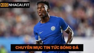 Chelsea Đưa Ra Yêu Cầu Chuyển Nhượng Nicolas Jackson Trong 2026