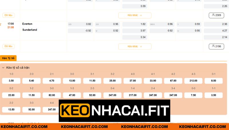 Nhận định Everton vs Sunderland chuyên sâu