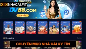 DV88 - Nhà Cái Cá Cược Chất Lượng Và An Toàn Top Đầu 2026