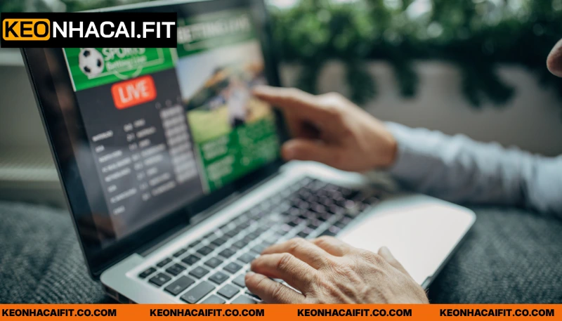 Khái quát về hệ thống kết quả bóng đá 