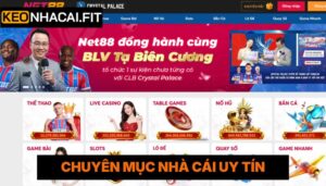 Net88 - Thương Hiệu Giải Trí Cá Cược Hàng Đầu Hiện Nay