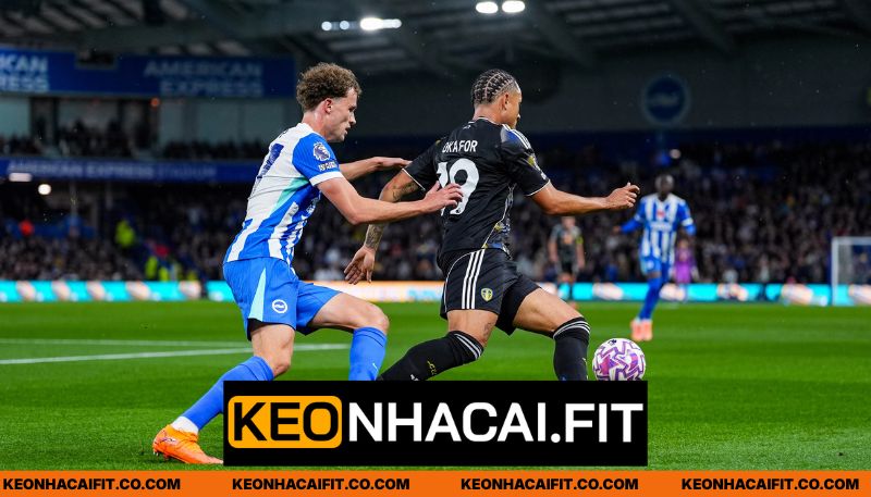 So sánh hiệu suất thi đấu Leeds United vs Brighton Hove Albion