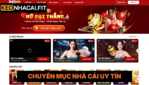 RED88 - Thương Hiệu Cá Cược Trực Tuyến Uy Tín, Hiện Đại