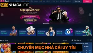 Rikbet - Thương Hiệu Giải Trí Đáng Tin Cậy Nhất 2026