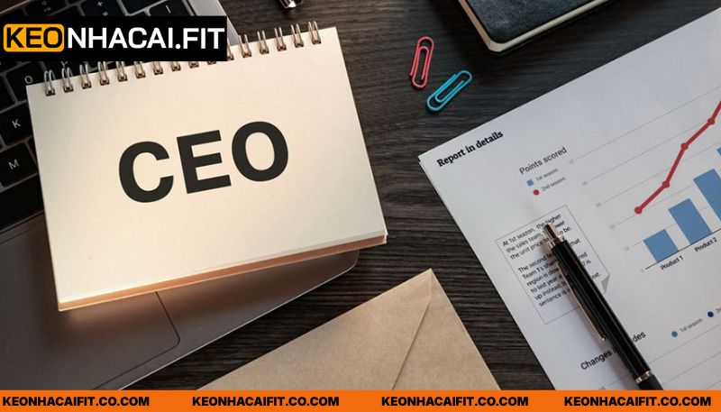 Thành tựu của tác giả Minh Hiếu với hệ thống